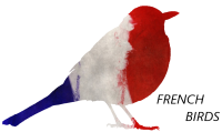 frenchbirds.org